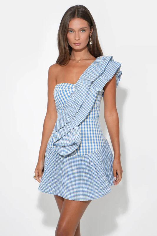 ADELYN RAE
AVA ONE SHOULDER GINGHAM MINI DRESS